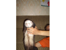 29.05.2010 21:15:38