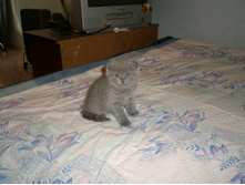 ����� - 2 ������