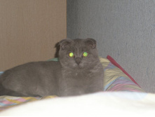 ����� 1 ���