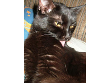 ������� - ����� ��������