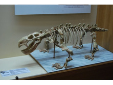 ��������� ����������