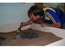 � ���������