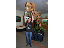 ������� � ��������