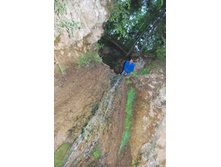 �� �������� ��������