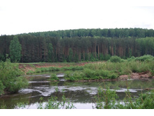 �������� ���