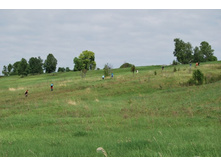 ��̣���� ���� � �������