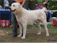 ������ �������� �����