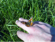 �������