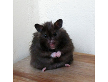 �������� ������