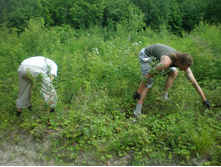 �������� ���������