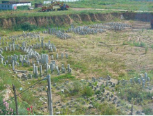 ��������� ���-����, ��� ������ �����