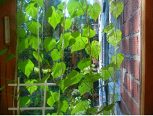 ����� ������ (1)