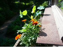 �������� � ��������� �����