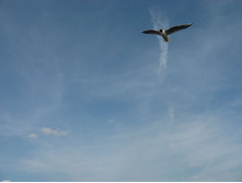 ����� � \"�������������\")))