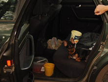 �������� ������ ������