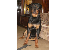 1 ��� 2 ���