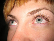 ������ ������