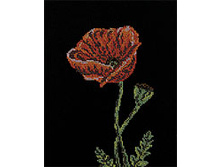 138 �������� �������� (���� 370+%)������ 25*30