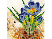 ���������� (���� 710+%)