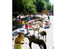 �������-8