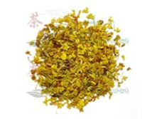             ��� ��� (��������), 1995���