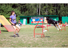 ������ � �����