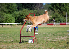 ���� �������