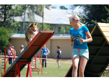 ����� � ����