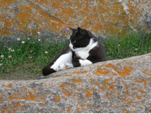 �������