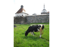 ������, ���� �������, ������ ������ �������� �������