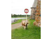 ���������� ������ :)