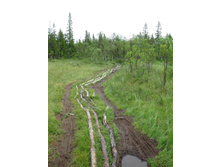 ������ �� ����� � �������