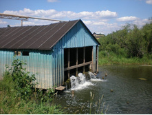 ������, ����-���