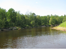 ����� ������