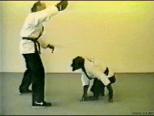 18.07.2010 12:37:08