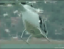 18.07.2010 12:39:05