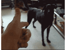 18.07.2010 13:10:09