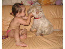 � ������?..