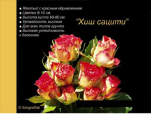 ��� ������