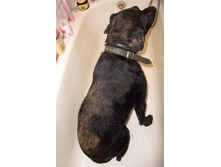 ����� ��������