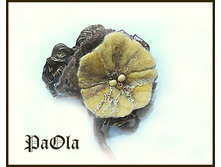 ������� "���������"