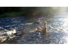 � ���� ���� ���...