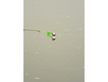 02.08.2010 11:50:25