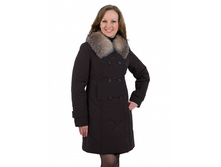 �������: 258  ���� 5100