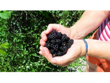 ������� �� ����� ��������