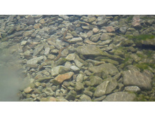 ���������, ��� �� ����?