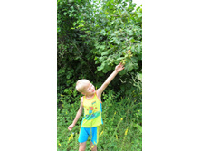 � ��� ���?