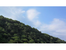 ��� ������ �� ����...