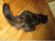 ����� �� �����