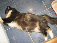 ������ �, ���� �����